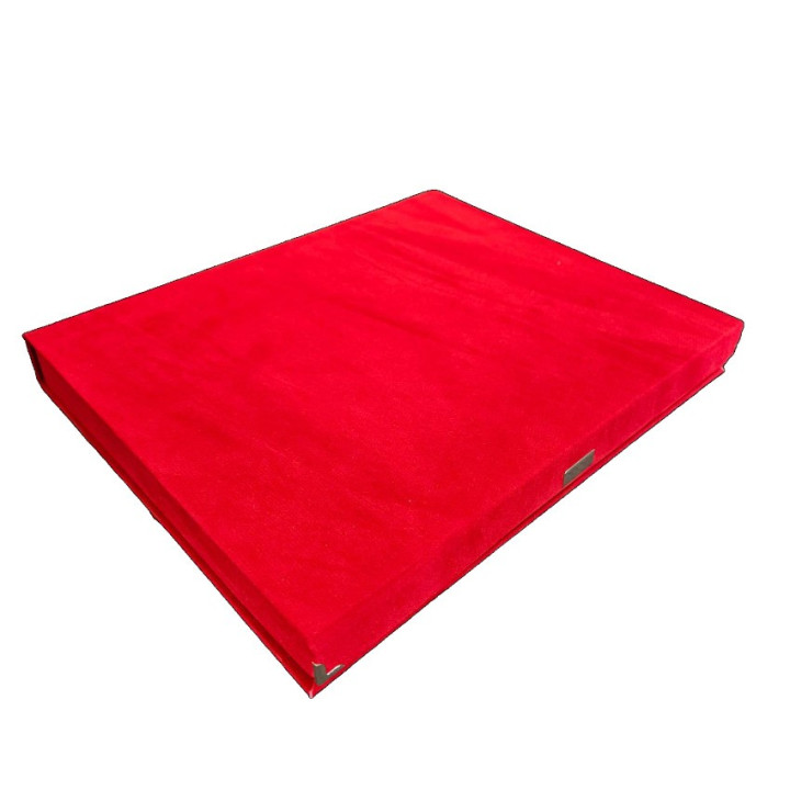 Targa in alluminio color oro cm 18 x 13 con astuccio in velluto rosso