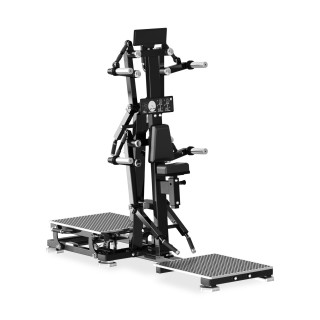 RS Lateral Raise/Rear Deltoid Diamond