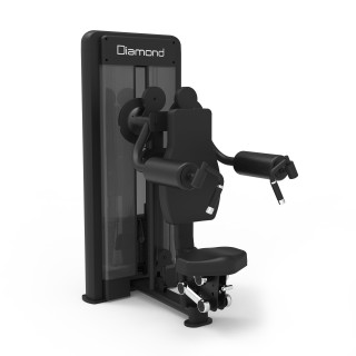 Seated Lateral Raise Diamond S550