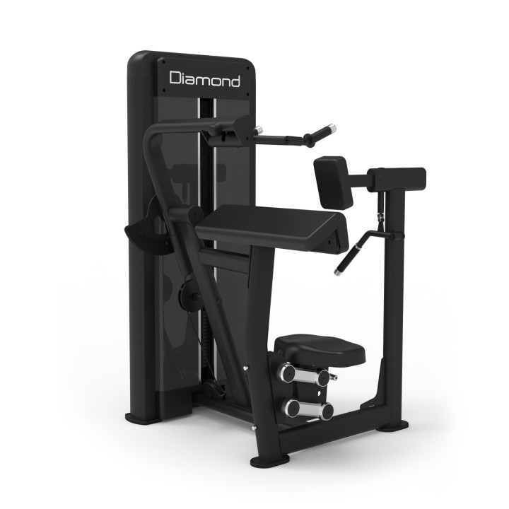 Triceps Dip Diamond S550