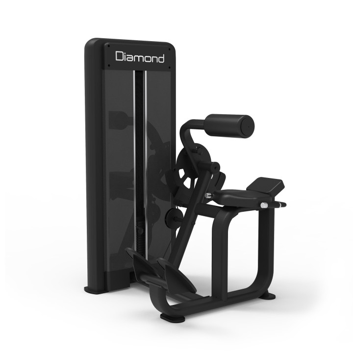 Back Extension Diamond S550