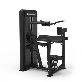 Combo Biceps/Triceps Machine Diamond S550