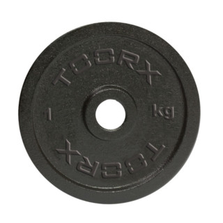 Painted cast iron disc for weight lifting 1 kg - 25 mm hole