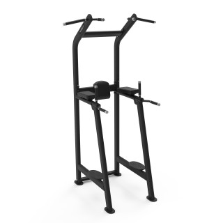 Chin Up/Dip Bench Diamond S550