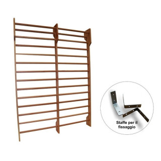 Swedish wall bars for gymnastics with two spans 250x180 cm