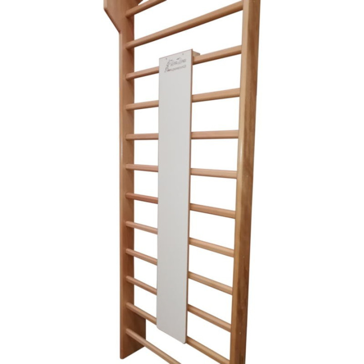 Vertical back protector support that can be attached to the Swedish backrest