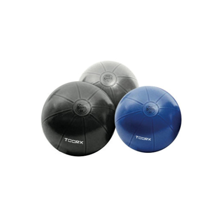 Gym ball Pro Toorx
