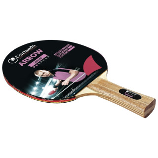 Garlando Arrow 2 star racket
