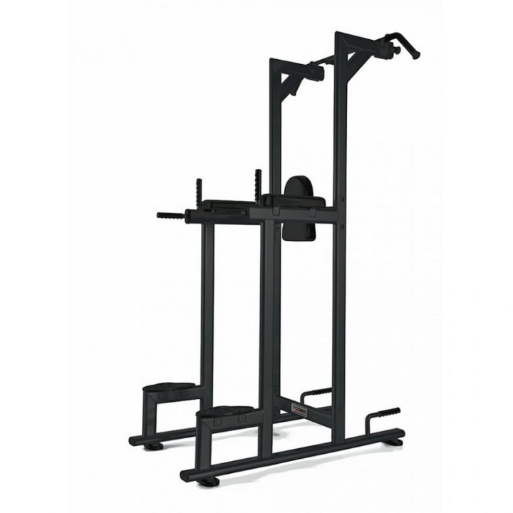 Toorx WBX-2800 multifunctional chin/ dip/ leg raise tool