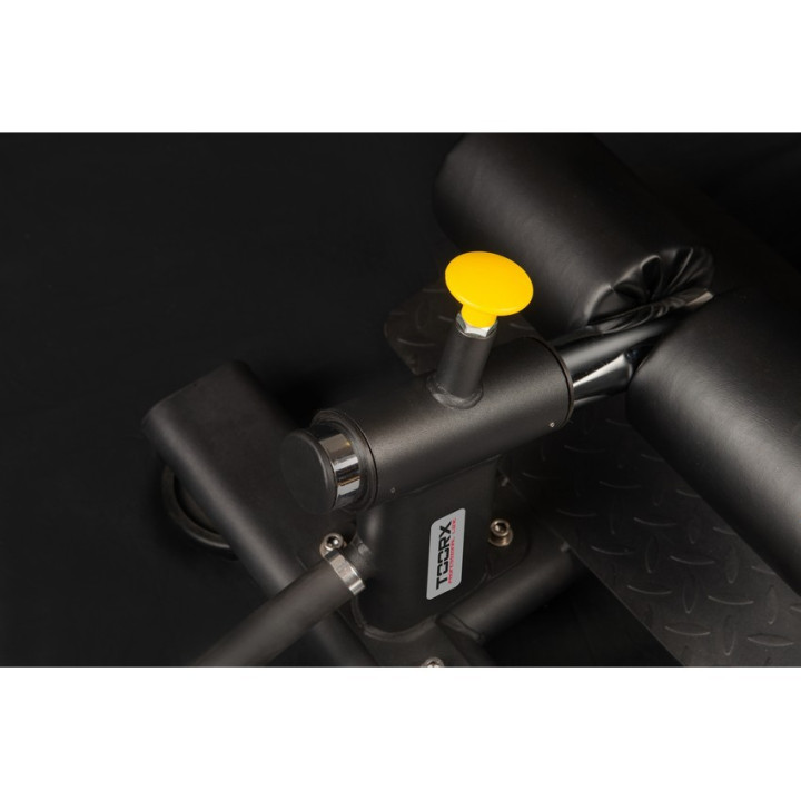 Sissy Squat Toorx WBX-1800