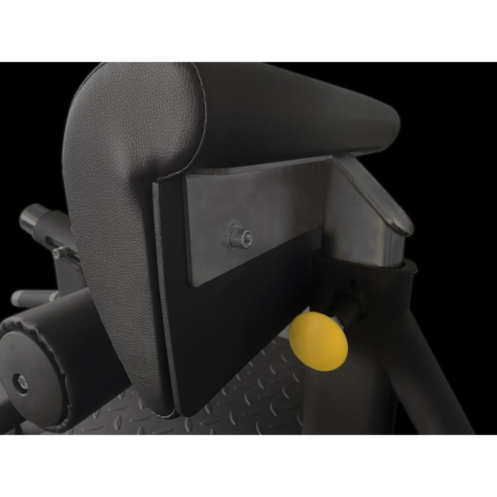 Sissy Squat Toorx WBX-1800