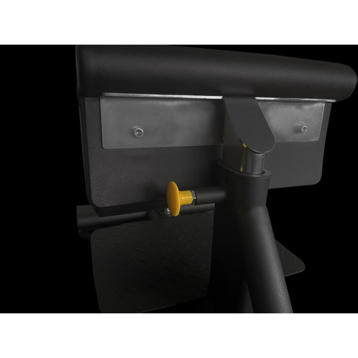 Sissy Squat Toorx WBX-1800