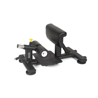 Sissy Squat Toorx WBX-1800