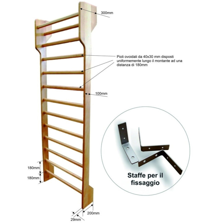 Swedish wall bars for gymnastics with two spans 230x160 cm